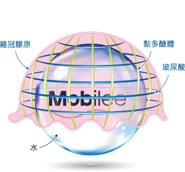 3D複合水網結構的玻尿酸強韌不摧