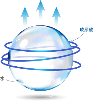 1D線性結構發酵型玻尿酸鬆散不牢固