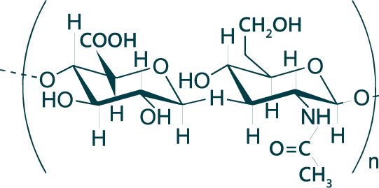 玻尿酸由雙醣組成線性結構