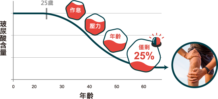 體內玻尿酸會隨著各種因素，逐年減少